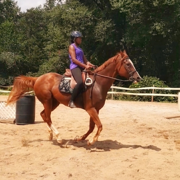 Meet your Posher, Terri - Picture 5 of 6